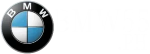 555BMW Logo